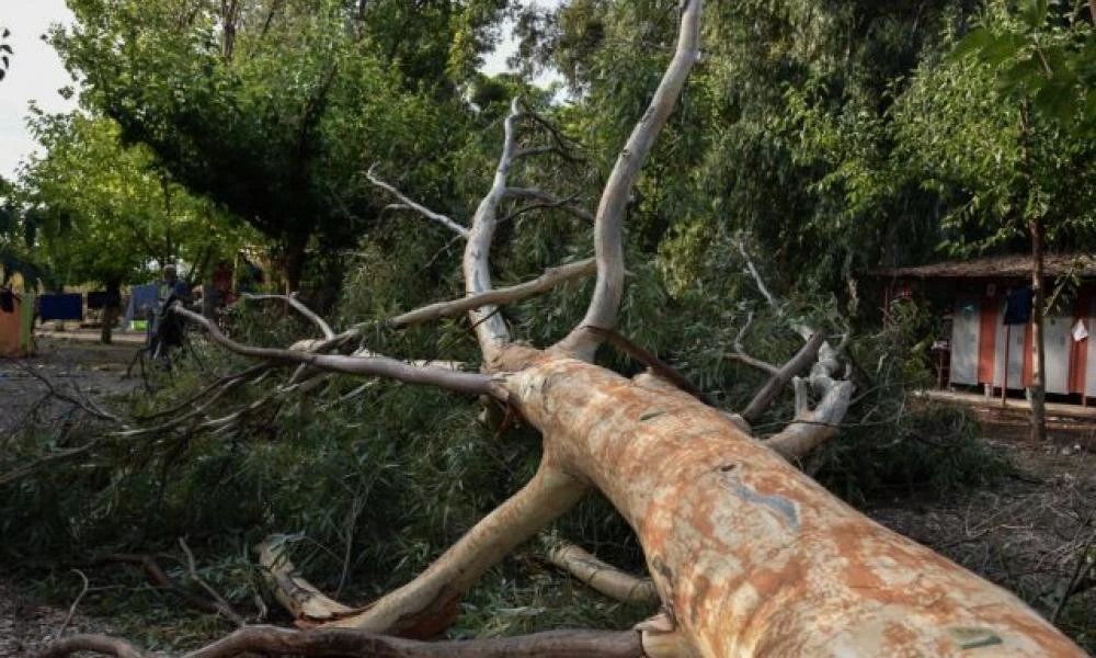 Κρήτη: Θυελλώδεις άνεμοι "σφυροκοπούν" το νησί